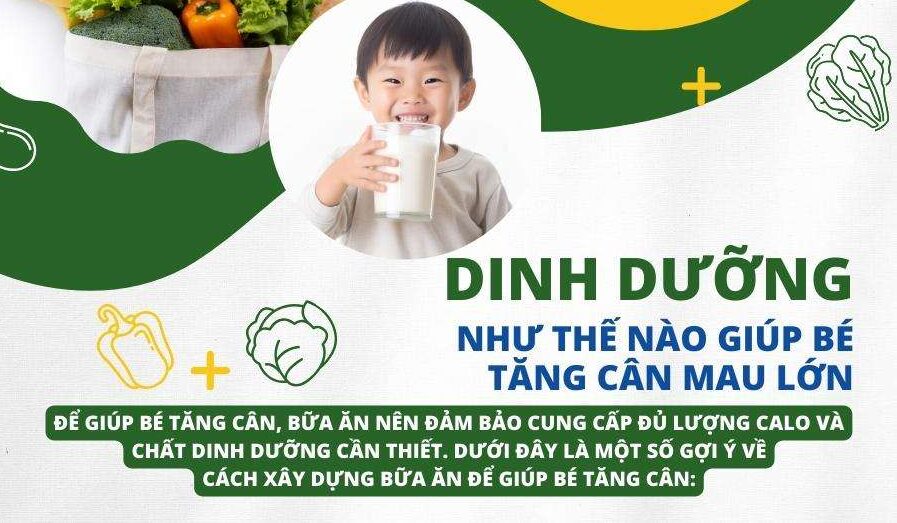 5 BÍ QUYẾT DINH DƯỠNG CÙNG AUSTRAMILK GIÚP BÉ TĂNG CÂN MAU LỚN